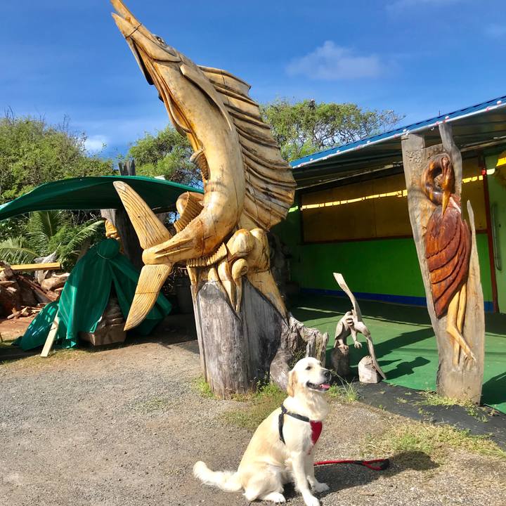 7cbad965 3bab 492f b81d 7f9b31221472 1546667455736