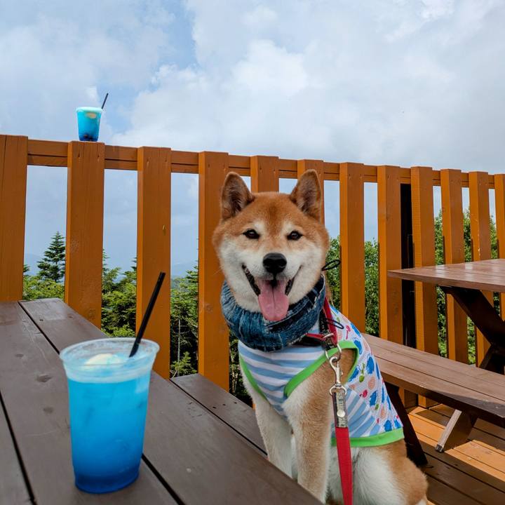 7cbb1677 953b 4b94 9d8f 01260d2abc43 1752153572306