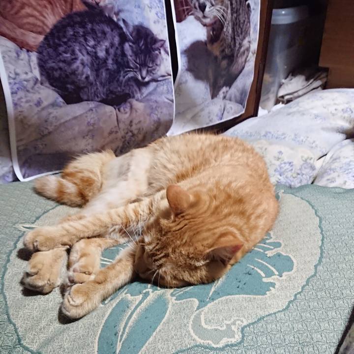 7cbb244e 16c6 4203 ae43 cdbecc949201 1657368823025