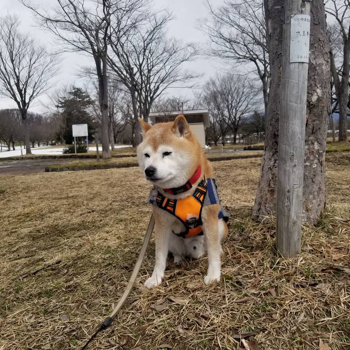 7cbb7851 c81e 436d 8438 0ba262923174 1710906671553