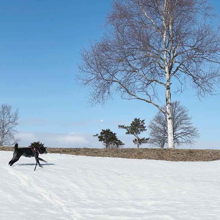 7cbb8539 6a86 47c9 a0f9 20a762379c47 1772532661627