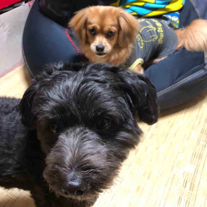 7cbb8a52 b326 43a6 951a 8fed99dffdfd 1512730974925