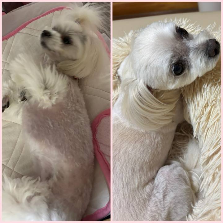 7cbb926e fb37 4e04 b8ef 62450cace2a2 1750593337820