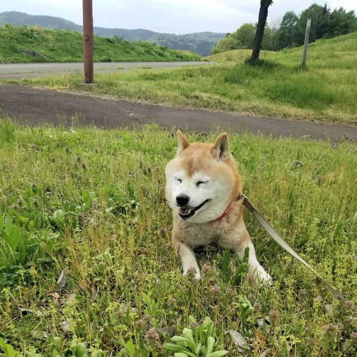 7cbba4b4 bb33 46e4 bb89 a893a6543b17 1714375024350