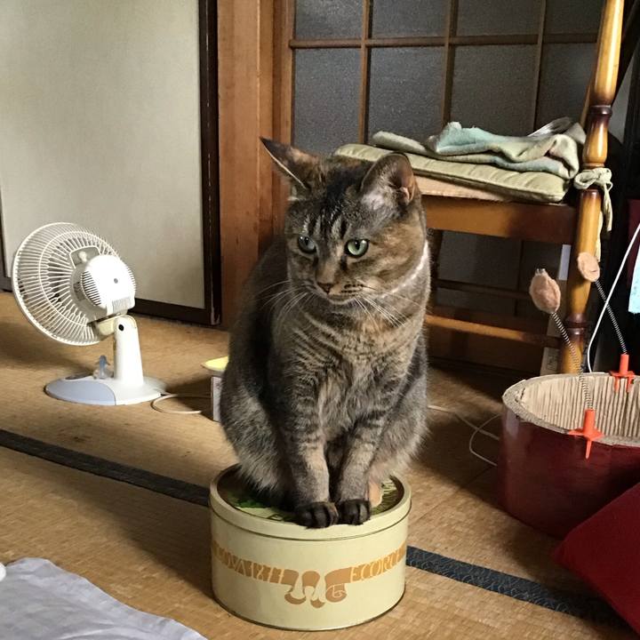 7cbbc916 9720 4b90 ac5d 1c94e498c703 1693200188599