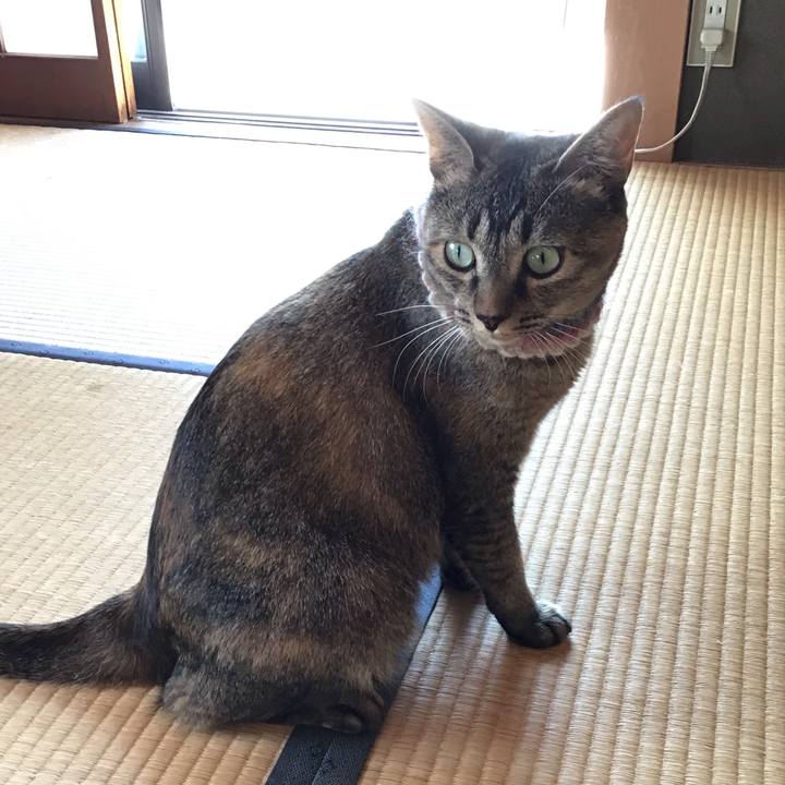 7cbbcf6d c8f9 4d0b b764 ec67a89d0f54 1626924599405