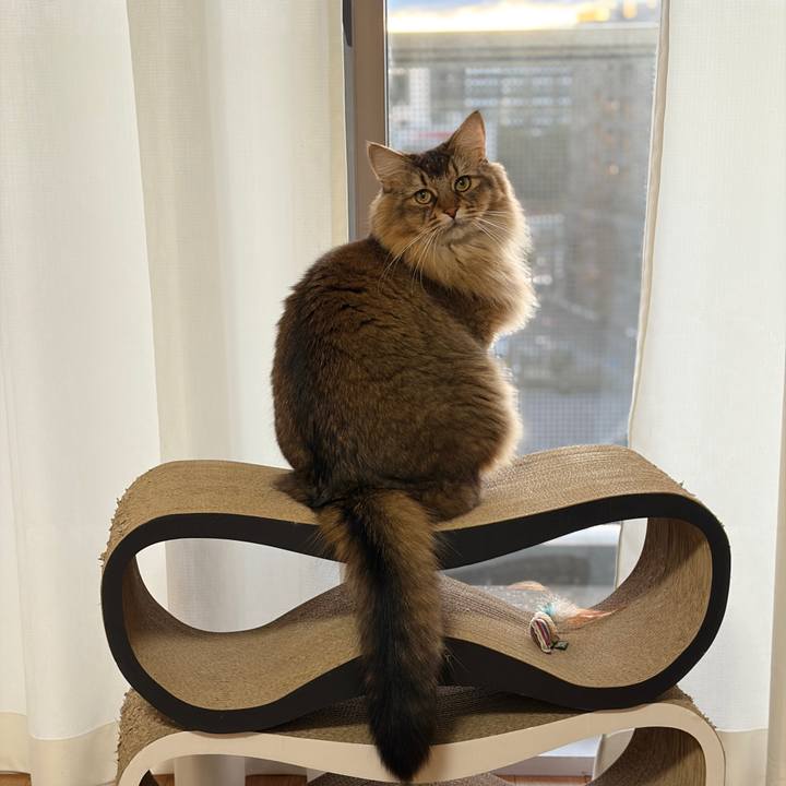 7cbbd36f 05fb 4731 bb5d f890433695fd 1765493060349