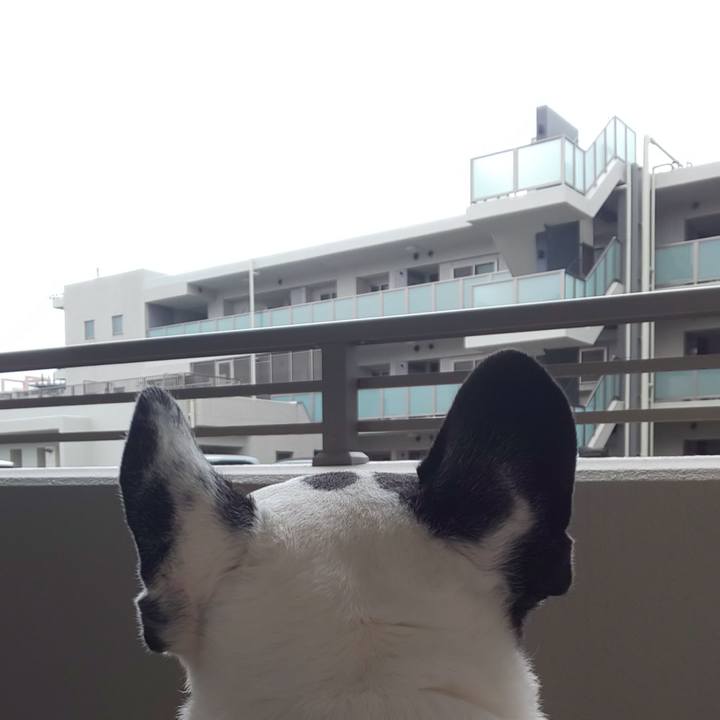 7cbbd993 9dfd 44a3 979c b0d6d9d7e52a 1662609474052