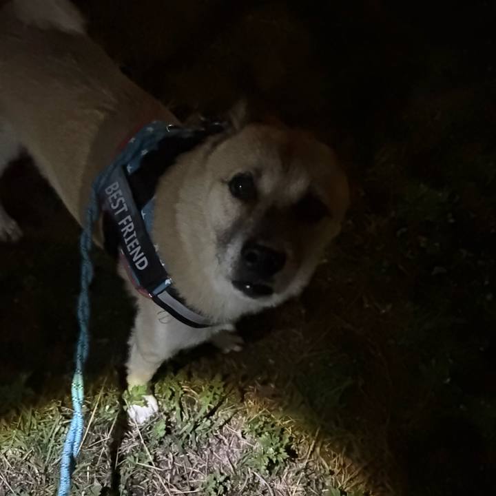 7cbc171e a550 4f7c 94e5 fd62e950f2ff 1760617009305