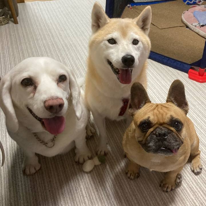 7cbc244e b328 4ecb 8fd2 d1baec219ab4 1645373410097