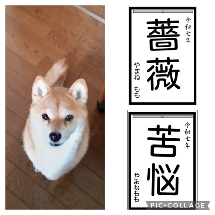 7cbc582c cf11 4585 8c9c 62b46626dafc 1736139947345