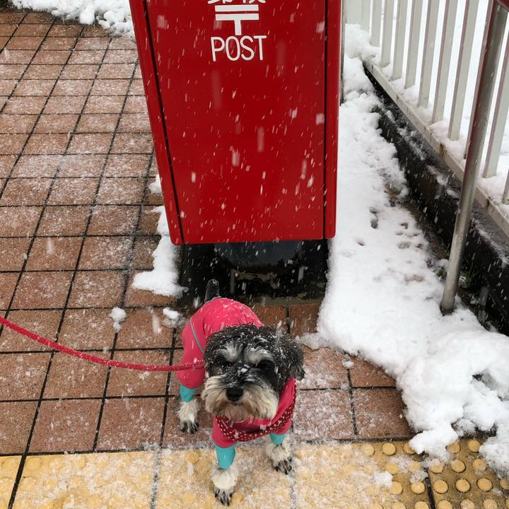 7cbc70e1 dfe3 4c9f 89a1 5ed0fdcab0d8 1546135197692