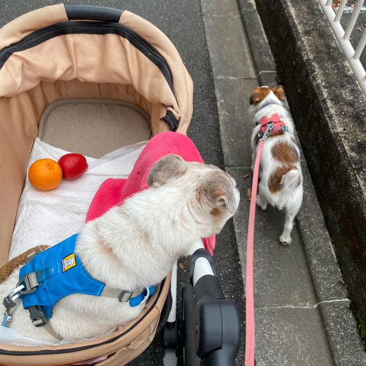 7cbc9184 7cb4 4fa1 8da0 7f5a60e4d0b4 1731816910820