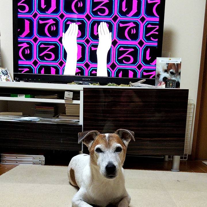 7cbcc461 6e2c 475e 8052 053bd41450b0 1568592345896