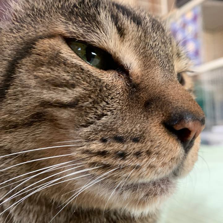 7cbcd498 78c7 4ee7 9022 97caf78344b1 1560214930709