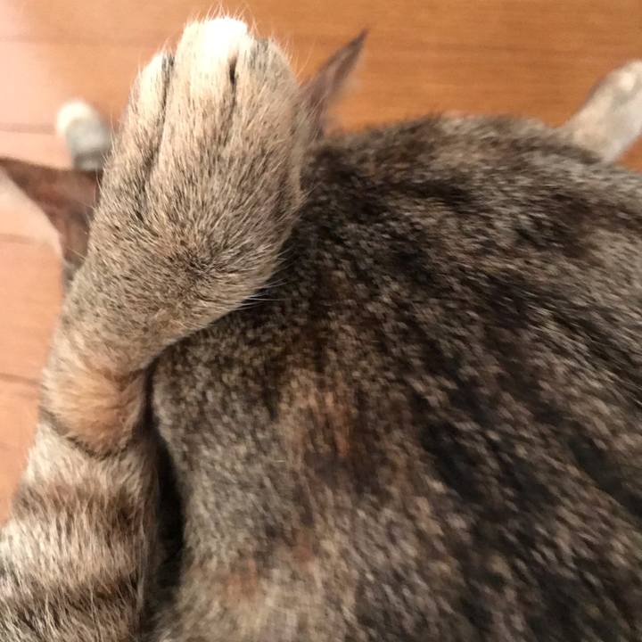 7cbcd8d0 c220 48ba 97d1 f67bdf5fbad6 1588465297313