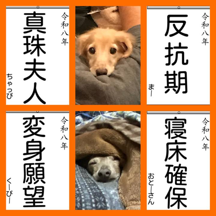 7cbce0ad 2266 40d1 932c 843bd8df356c 1767350048204