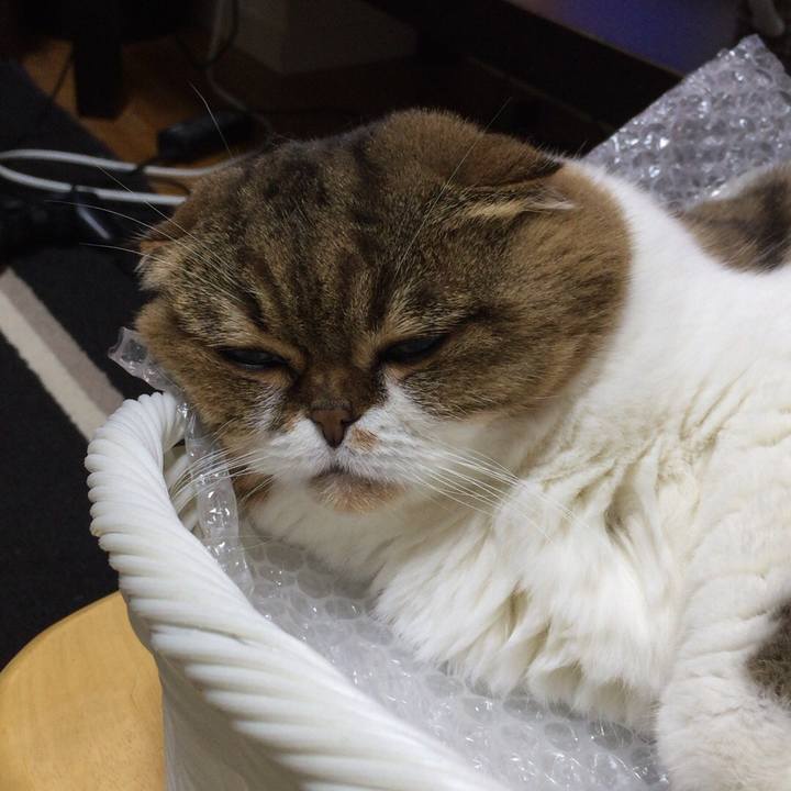 7cbcea74 9181 4535 9a25 508e005cc103 1510996713230