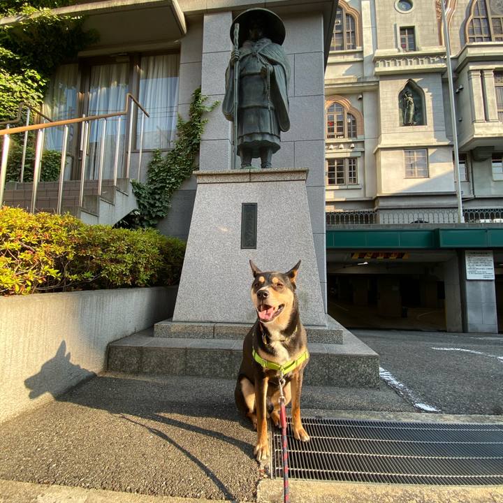 7cbcfc0b f1b7 476c 991d cee6a9fa0ffe 1590709458118