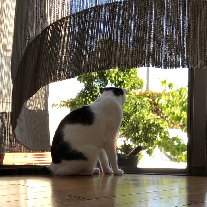 7cbd0fc8 4c28 443d bbbf ea8cfd1b6ae9 1591084057127