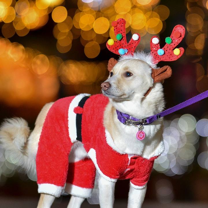 7cbd3490 27d9 4d8d 868f bae65d259d7b 1514167065653