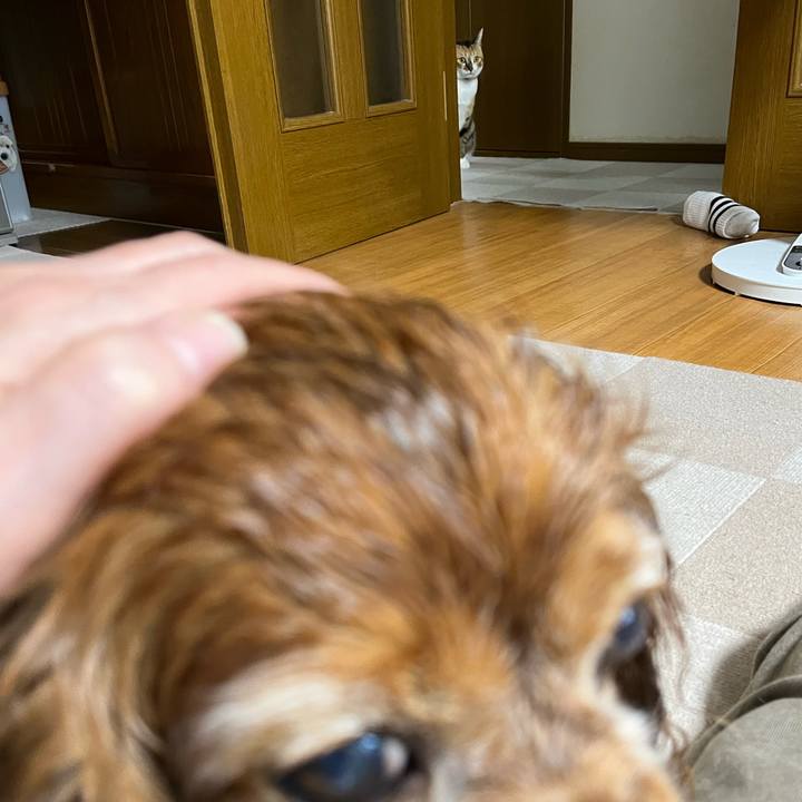 7cbd70bb 6252 4c56 9954 0a97fb601203 1729905365246