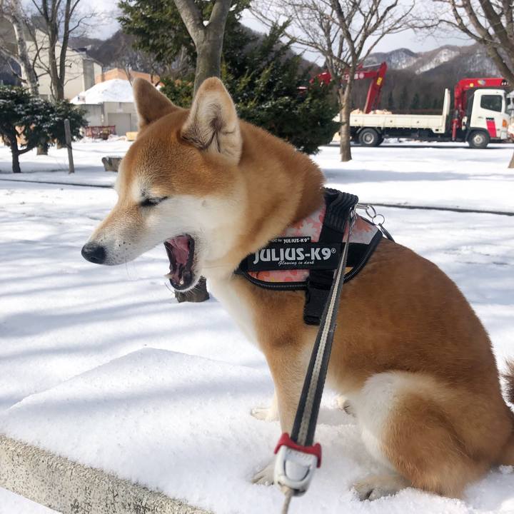 7cbd717b 98c4 492a 9cf7 60e26d1066de 1554728845184