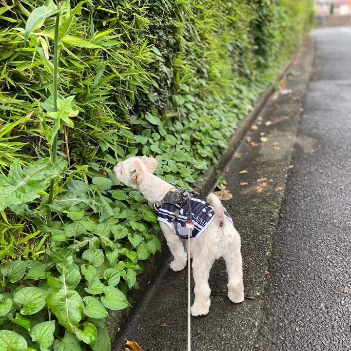 7cbdc7cf c4aa 422e a649 5567dcb4883c 1595772734683