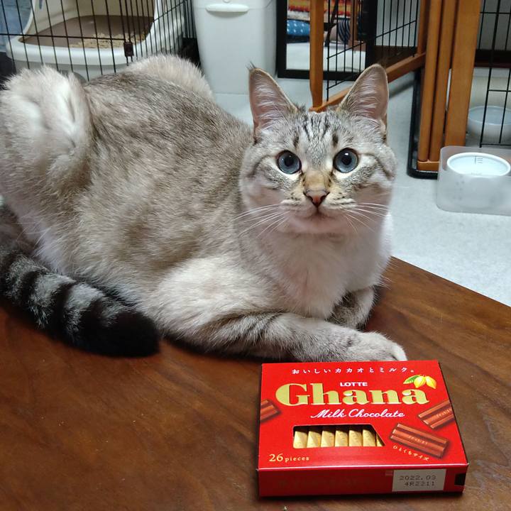 7cbdea1a 7df6 4bc4 9f81 f830acbae4a2 1622716377064