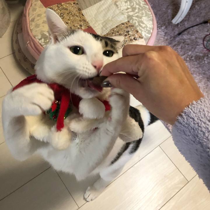 7cbe1f19 52ae 4aff b6a9 017eb64c0e8d 1608822304408