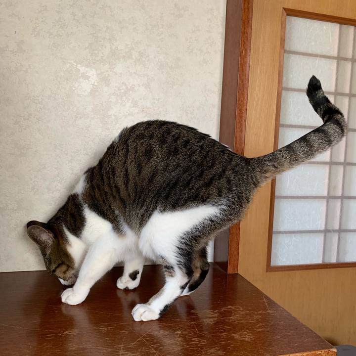 7cbe204f 75d0 4e88 b1b4 76c039115155 1548464166368