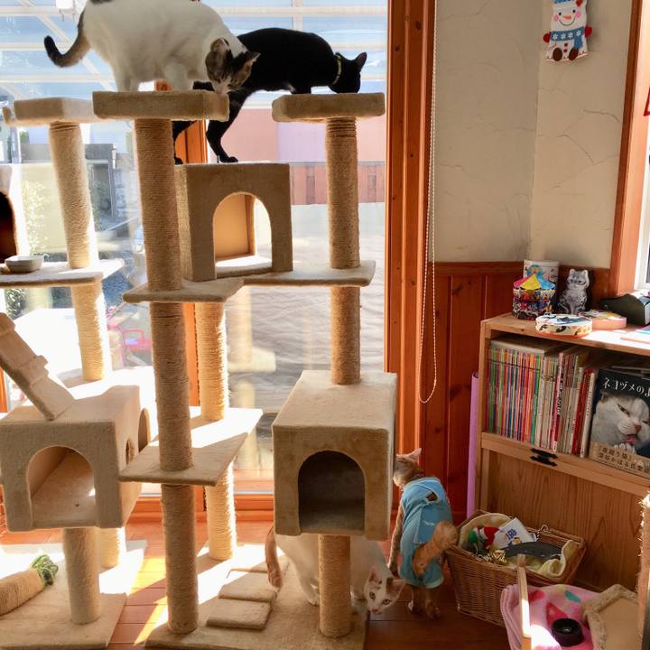 7cbe2ffe 87fc 43b2 88b0 63c8ac824c81 1520659423210