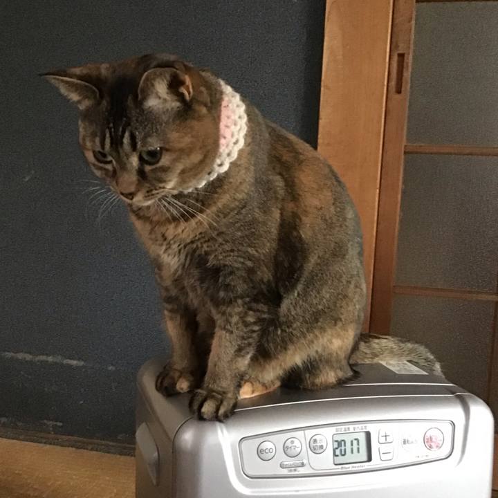 7cbe3156 4a85 4e28 8d3c 80ee32767760 1742090636318