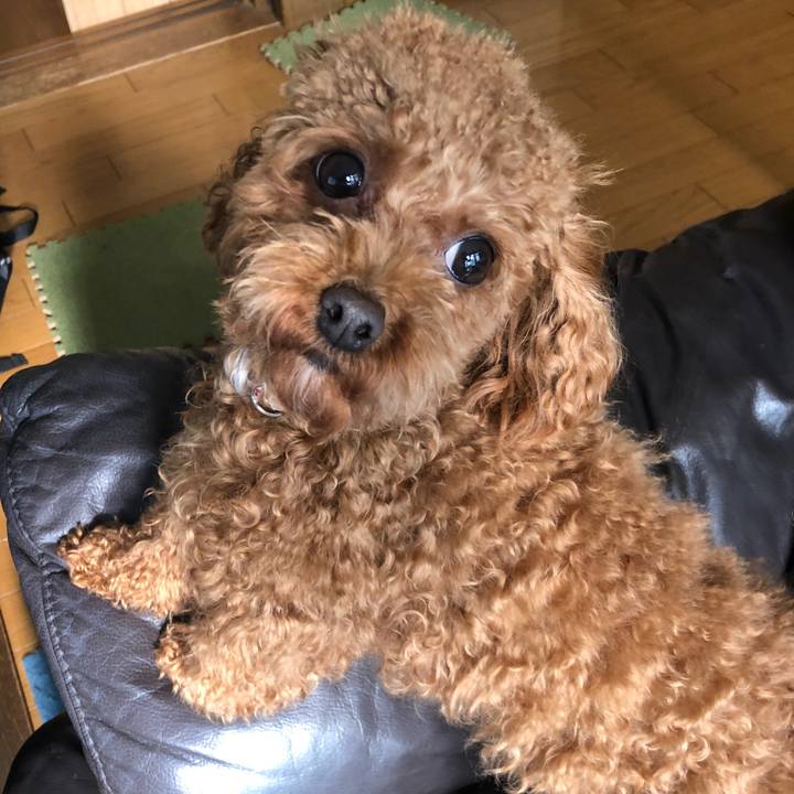 7cbe36da 519c 40ab b7be 6ed6db305372 1518010328451