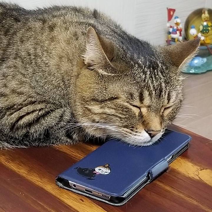 7cbe626d 8980 42a3 8dc4 4150db5643dc 1592169502993