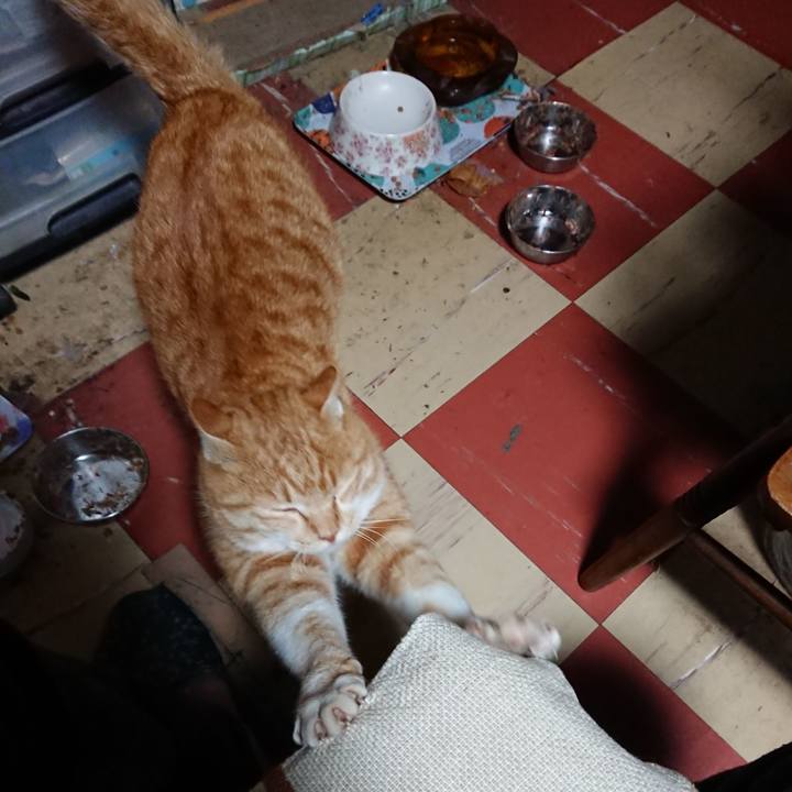 7cbe94a5 57f4 48be 8405 0d3f9e429956 1577564235842