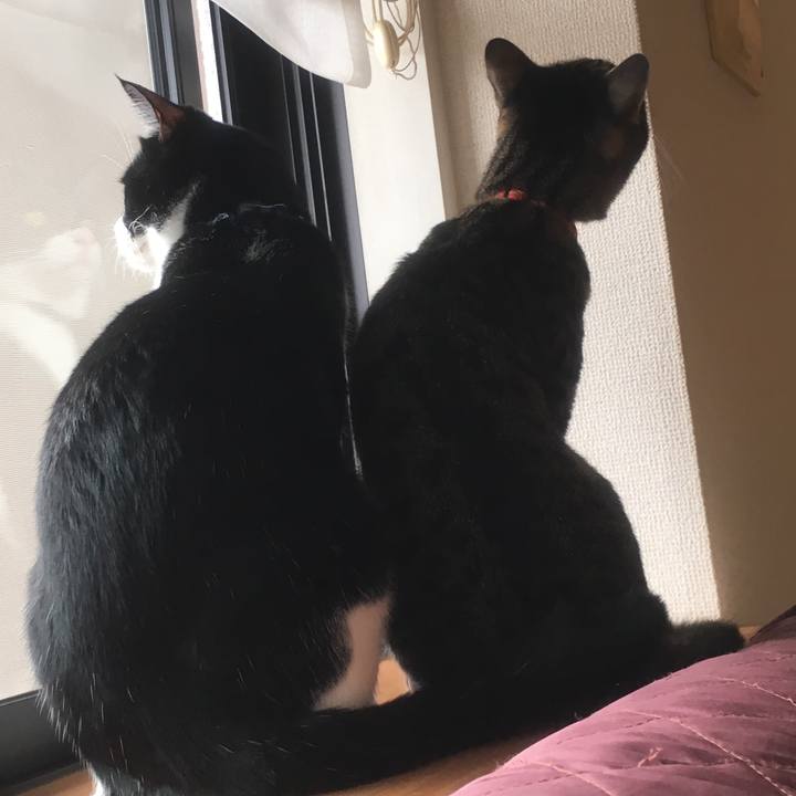 7cbeabf2 aa82 4220 95ca befe3d553694 1545472403317