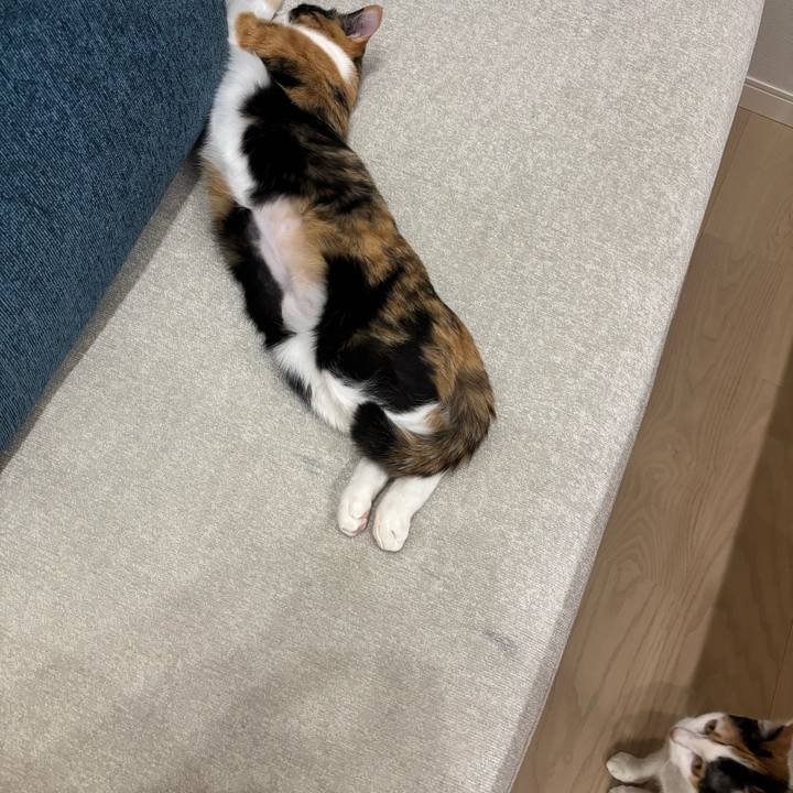 7cbeafd8 9b1c 41cb a82e c1c3f37ef443 1768280575352