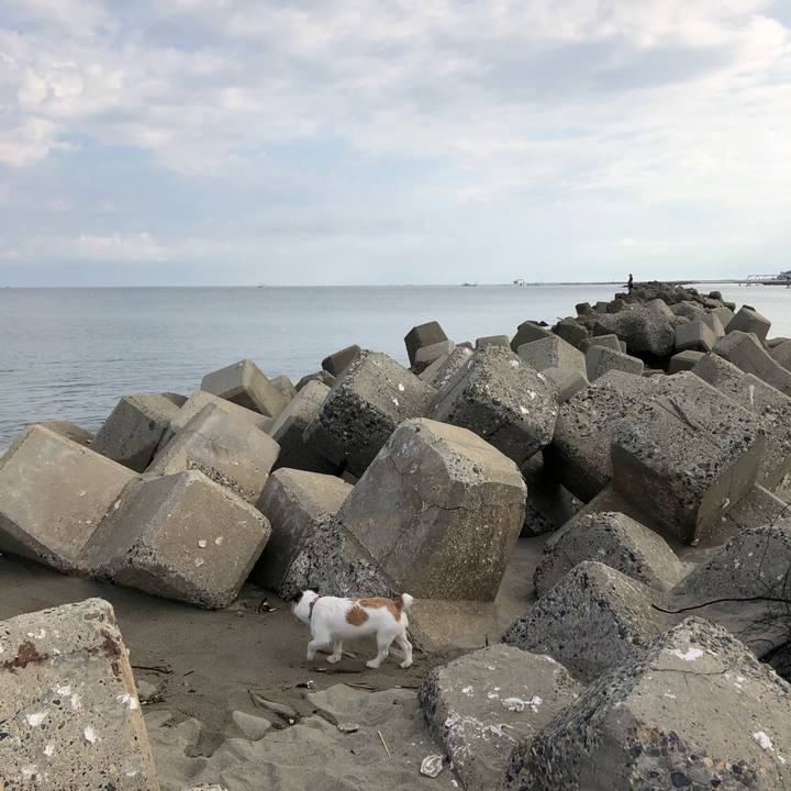 7cbf21de 90cb 456d a603 2e6804d94a47 1598742821059