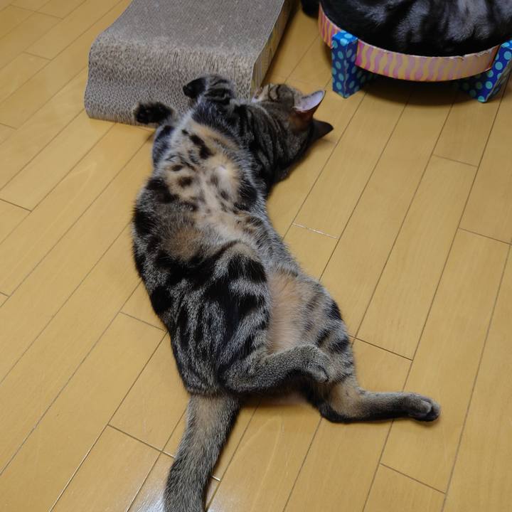 7cbf37c4 a61b 49a2 baca 5dfdbda059c2 1627300720384