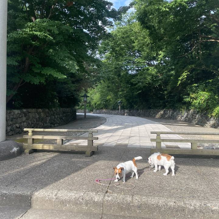 7cbf5639 0f01 4c23 9824 0595da25fd82 1752277003935