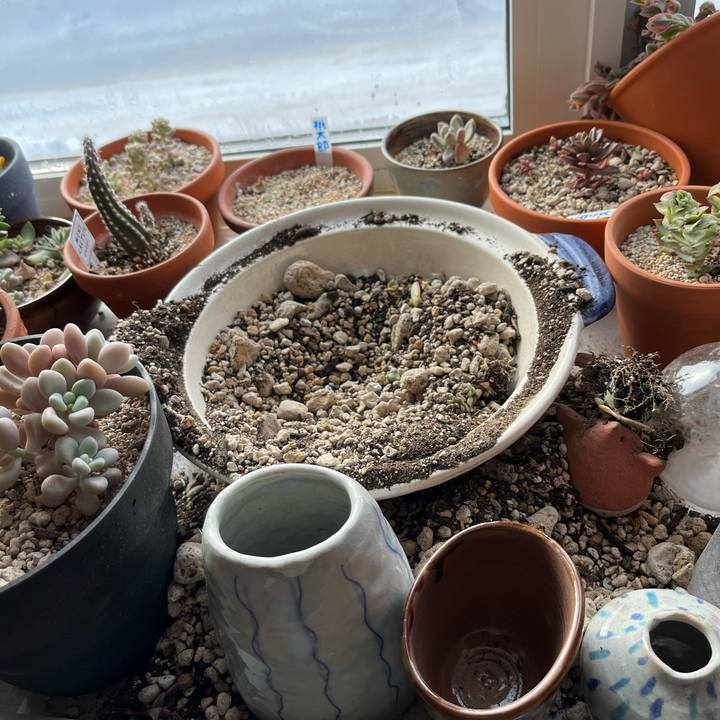 7cbf56c7 d73d 4067 aaf3 95c23b4fe073 1707276915003