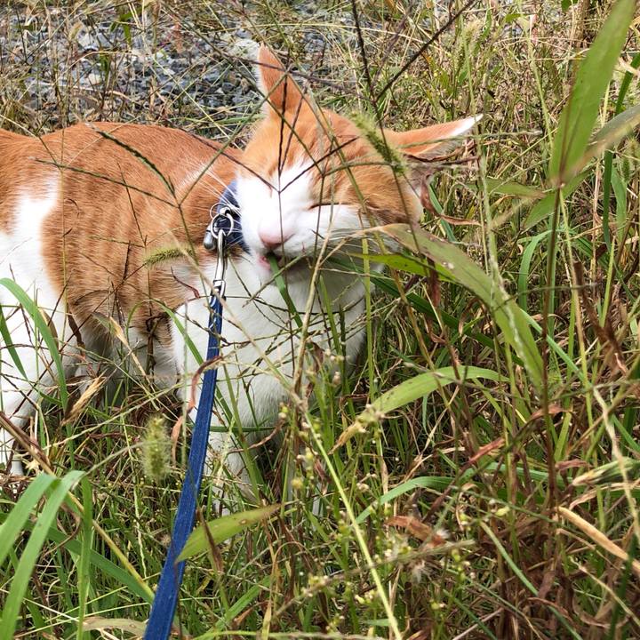 7cbf5e93 60bb 420d 9464 34ce666e4215 1539502872875