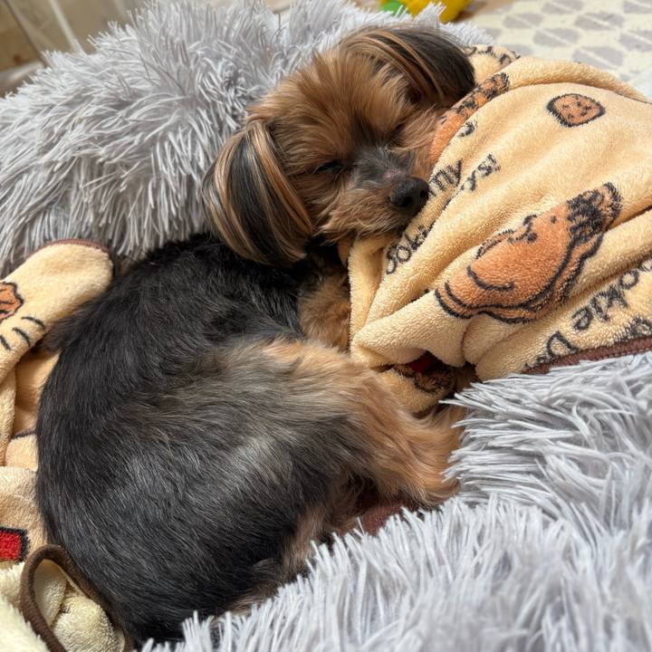 7cbf8256 0a2a 4f08 8d52 2cfd6b36fa29 1774496091649