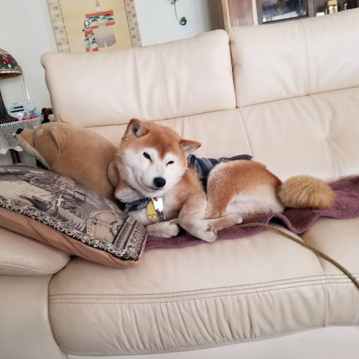 7cbfa6ac 6814 494f 8fe7 451548bb5f61 1613436217238