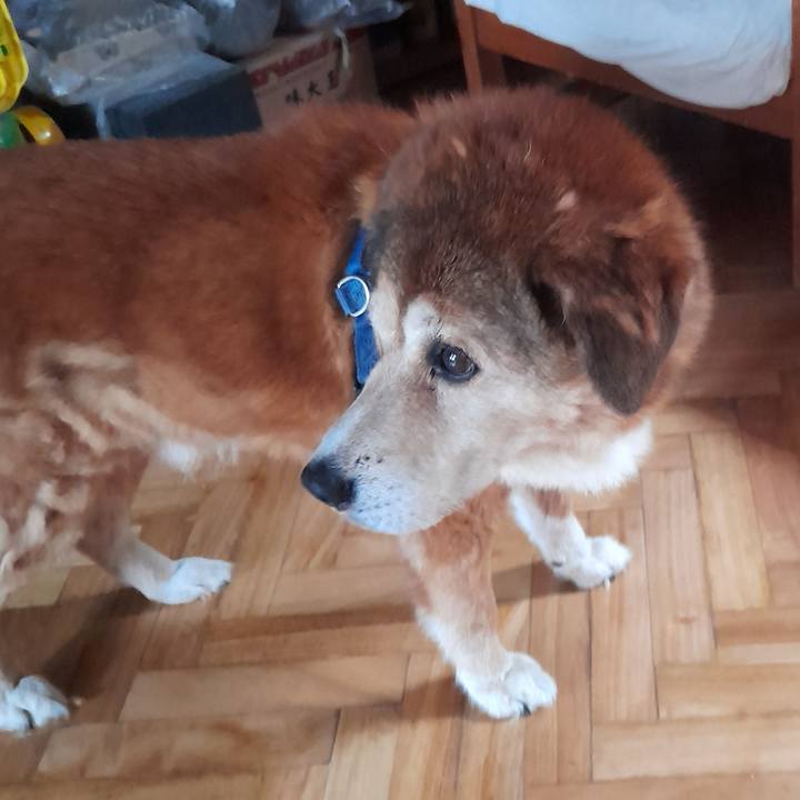 7cbfcf2e 52f7 4dd4 b137 2683766bc027 1762655859146