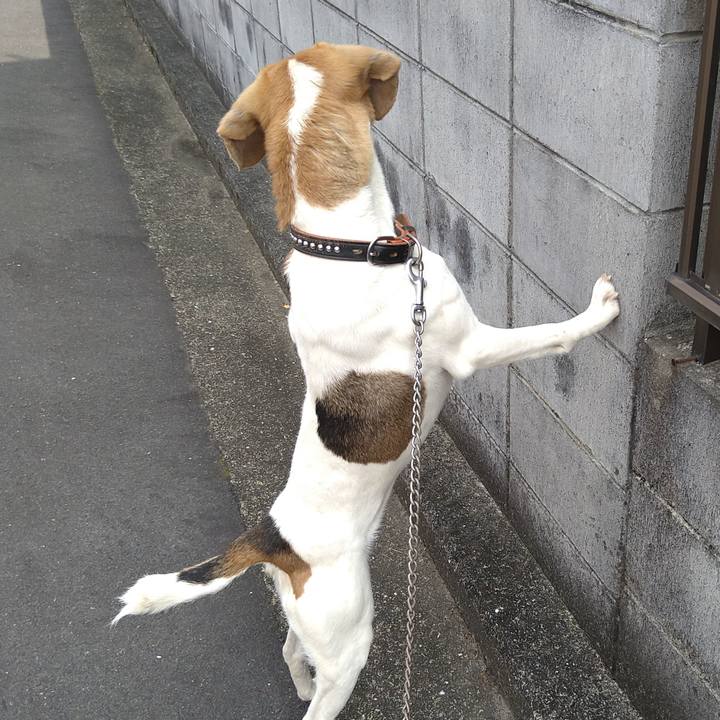 7cbfe7b0 0880 4f2a b5e7 33951247e44e 1659876026405