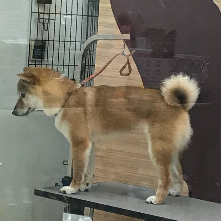 7cbff1bc 105e 481a 8cd6 ae7d0ab9a066 1521635487509