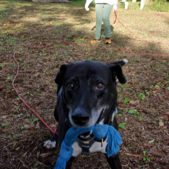 7cbffd6e b5b0 4ec8 b395 7e761ac0f819 1730333074459