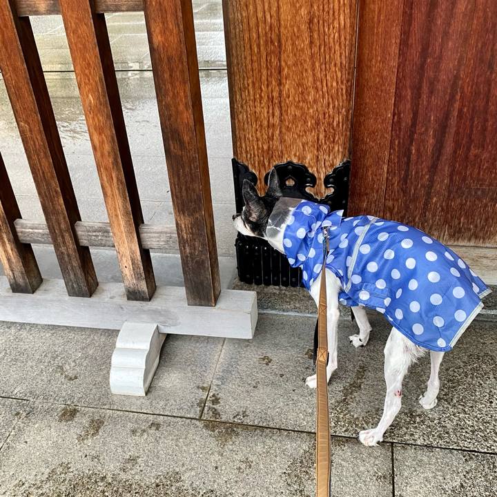 7cc01d02 e4b5 4070 9f12 e0528a090ee1 1631318540662